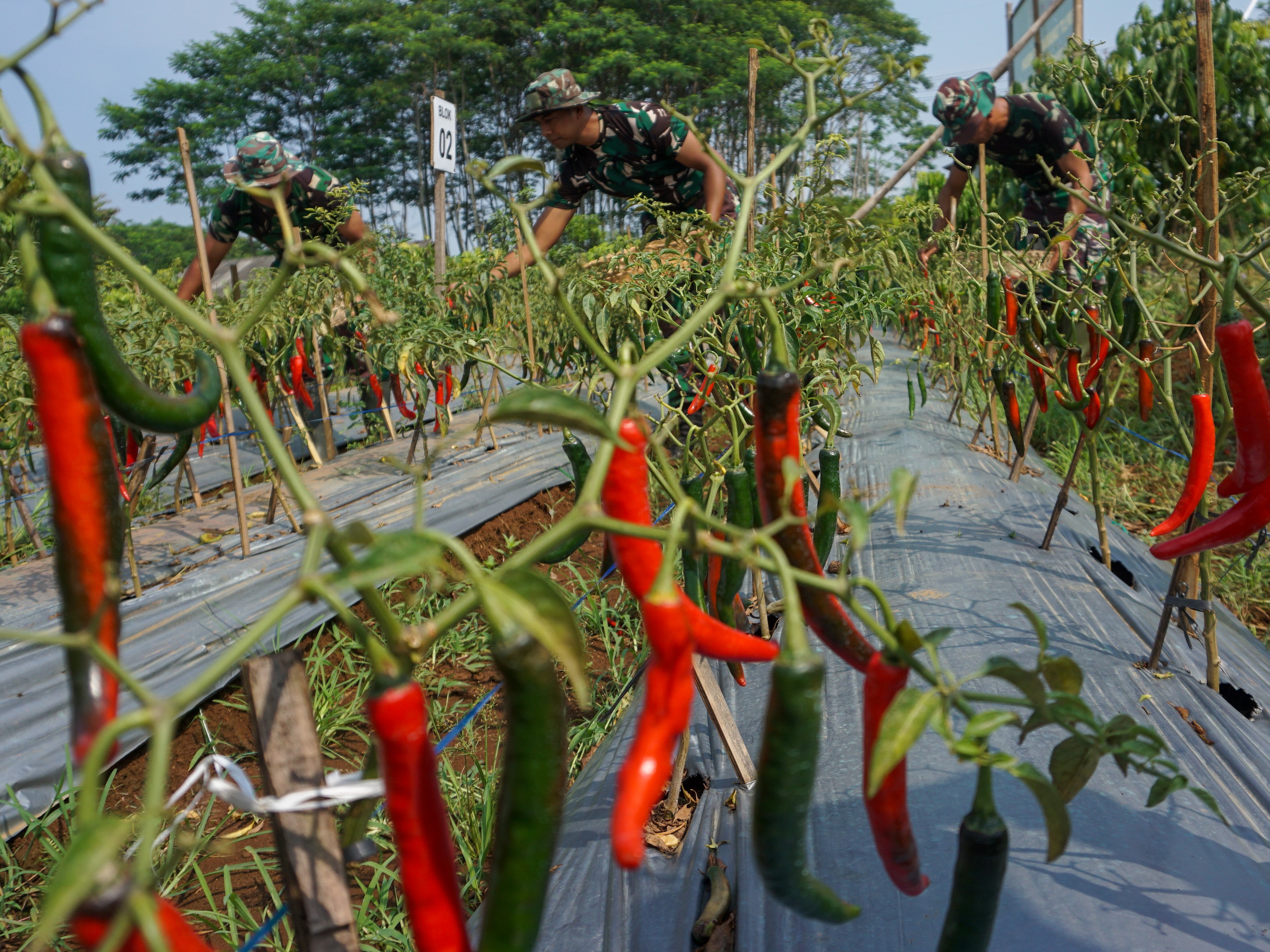 Sri Mulyani Targetkan Ekonomi Indonesia 2024 Tumbuh 5,7%