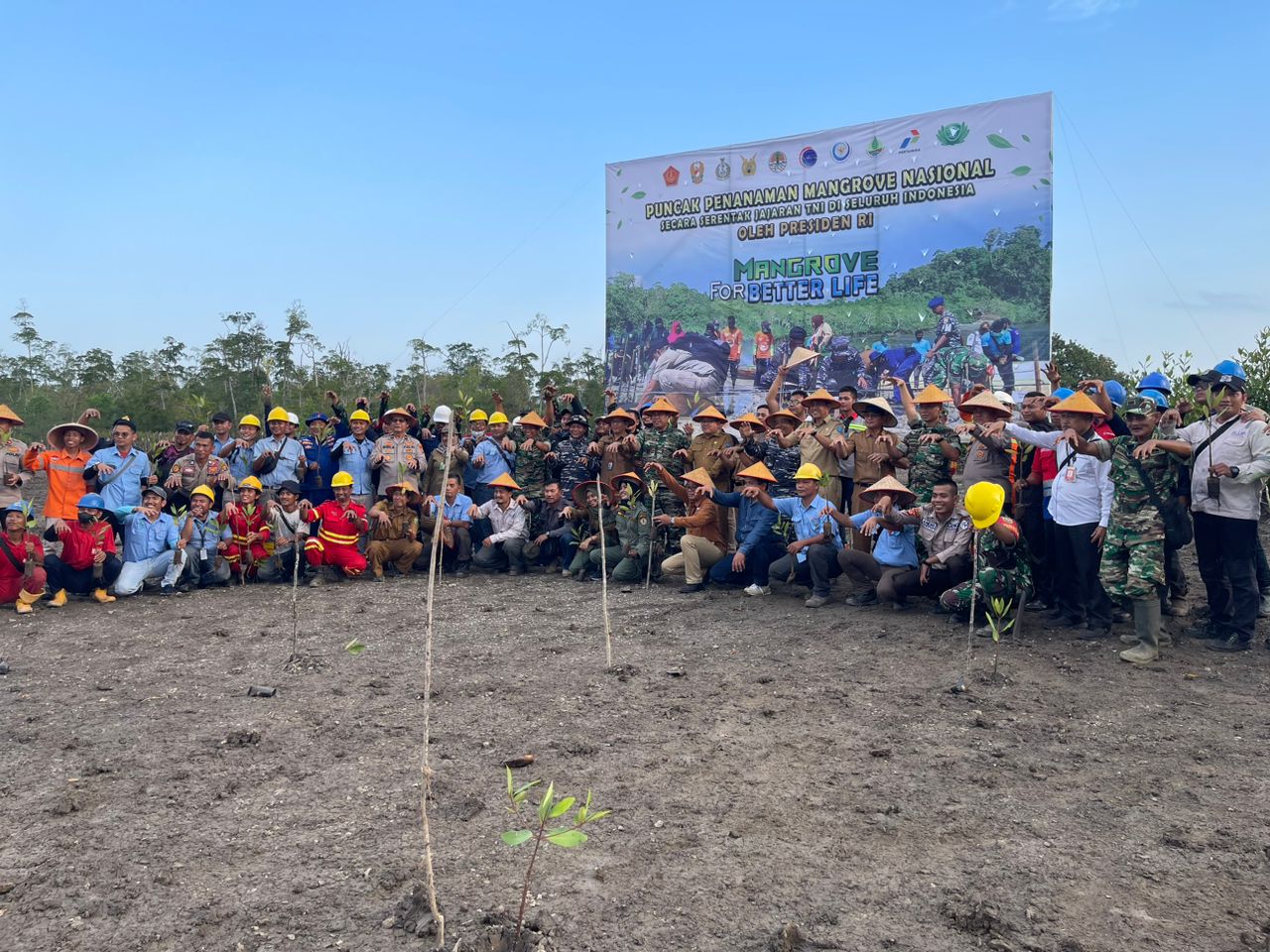 Penanaman mangrove di pesisir Ogan Komering Ilir, Sumsel oleh Sinar Mas dan TNI/Polri.