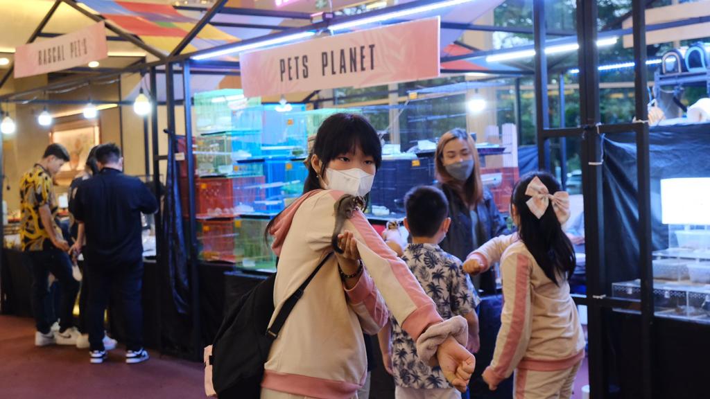 Pameran animal dan plant di Summarecon Mall Bekasi