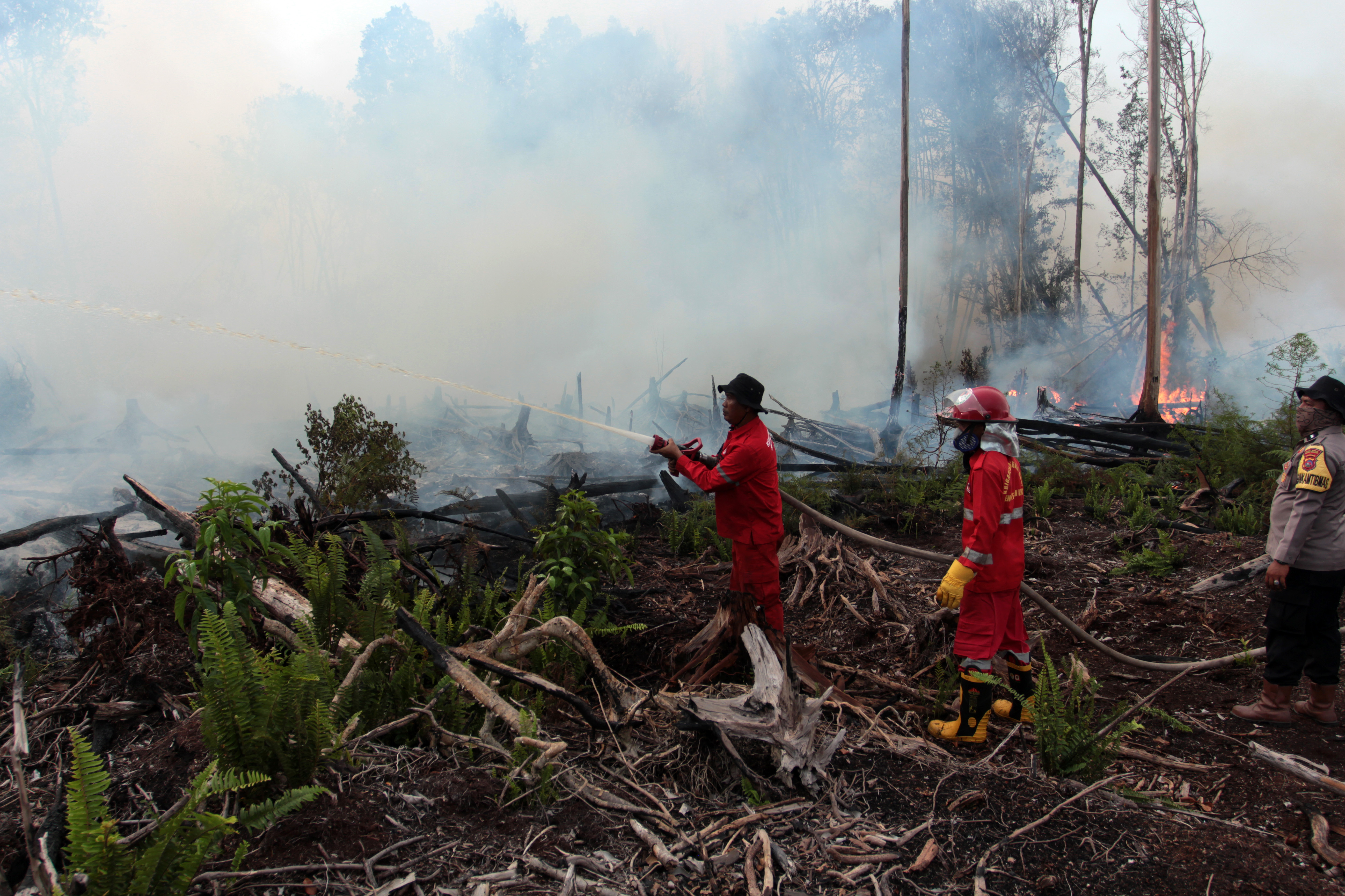 Sejumlah petugas memadamkan kebakaran hutan gambut di Kecamatan Silaut, Kabupaten Pesisir Selatan, Sumatera Barat, Jumat (26/5).