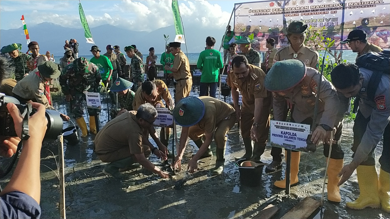 Dukung Program Rehabilitasi Mangrove, TNI Tanam 2.000 Pohon di Lokasi Berkas Tsunami Palu