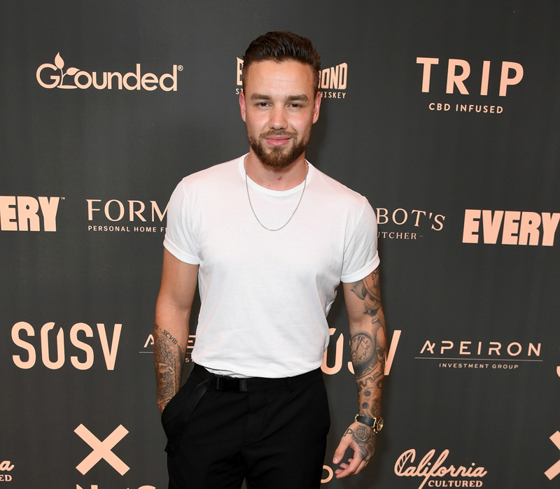 Liam panye berencana membuat tur album keduanya sekaligus menandai 100 hari bebas konsumsi alkohol.