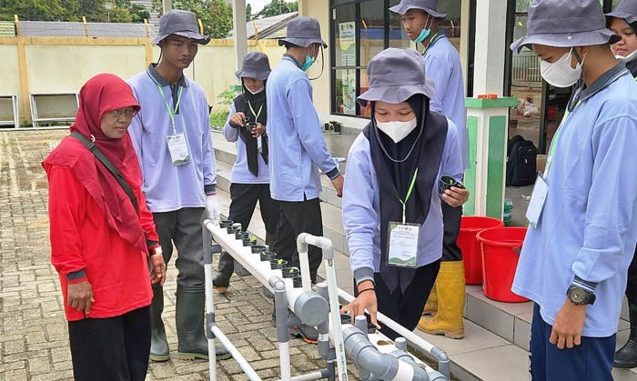 Para siswa dan siswi SMK-PP mengikuti  Uji Sertifikasi Profesi (USP) Bidang Pertanian di Banjarbaru, Kalimatan Selatan.