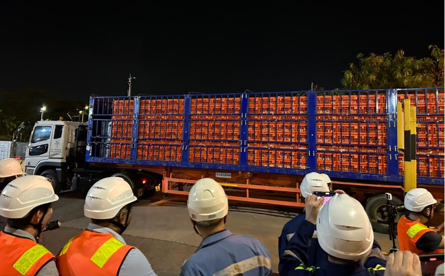 Ekspor ayam hidup dari Indonesia ke Singapura