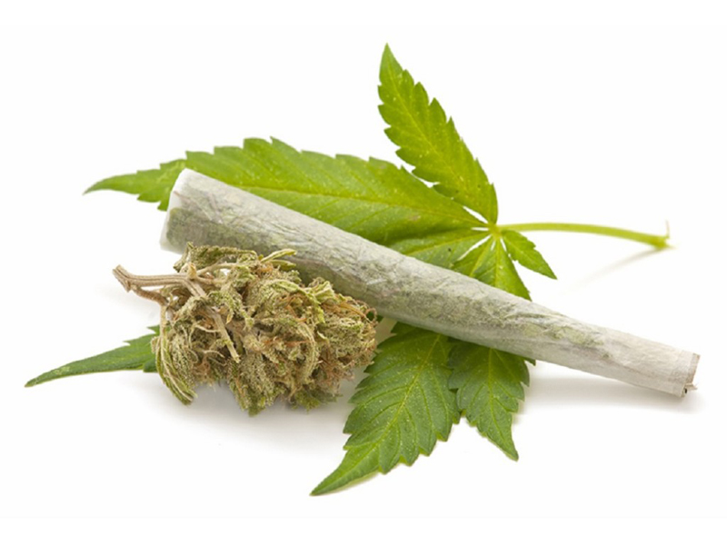 BNNP Babel Gagalkan Peredaran 7,5 Kg Ganja