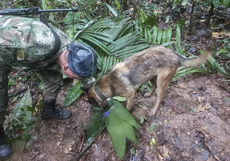 Empat anak berhasil ditemukan selamat setelah kecelakaan pesawat dua pekan lalu di hutan Amazon.