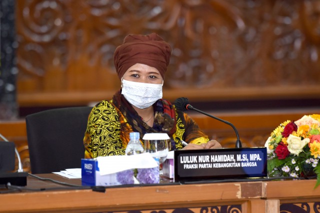 Anggota Badan Legislatif (Baleg) DPR RI Luluk Nur Hamidah