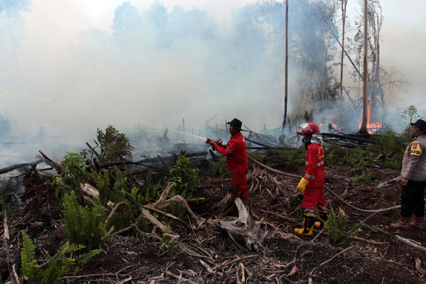 Sejumlah petugas memadamkan kebakaran hutan gambut di Kecamatan Silaut, Kabupaten Pesisir Selatan.