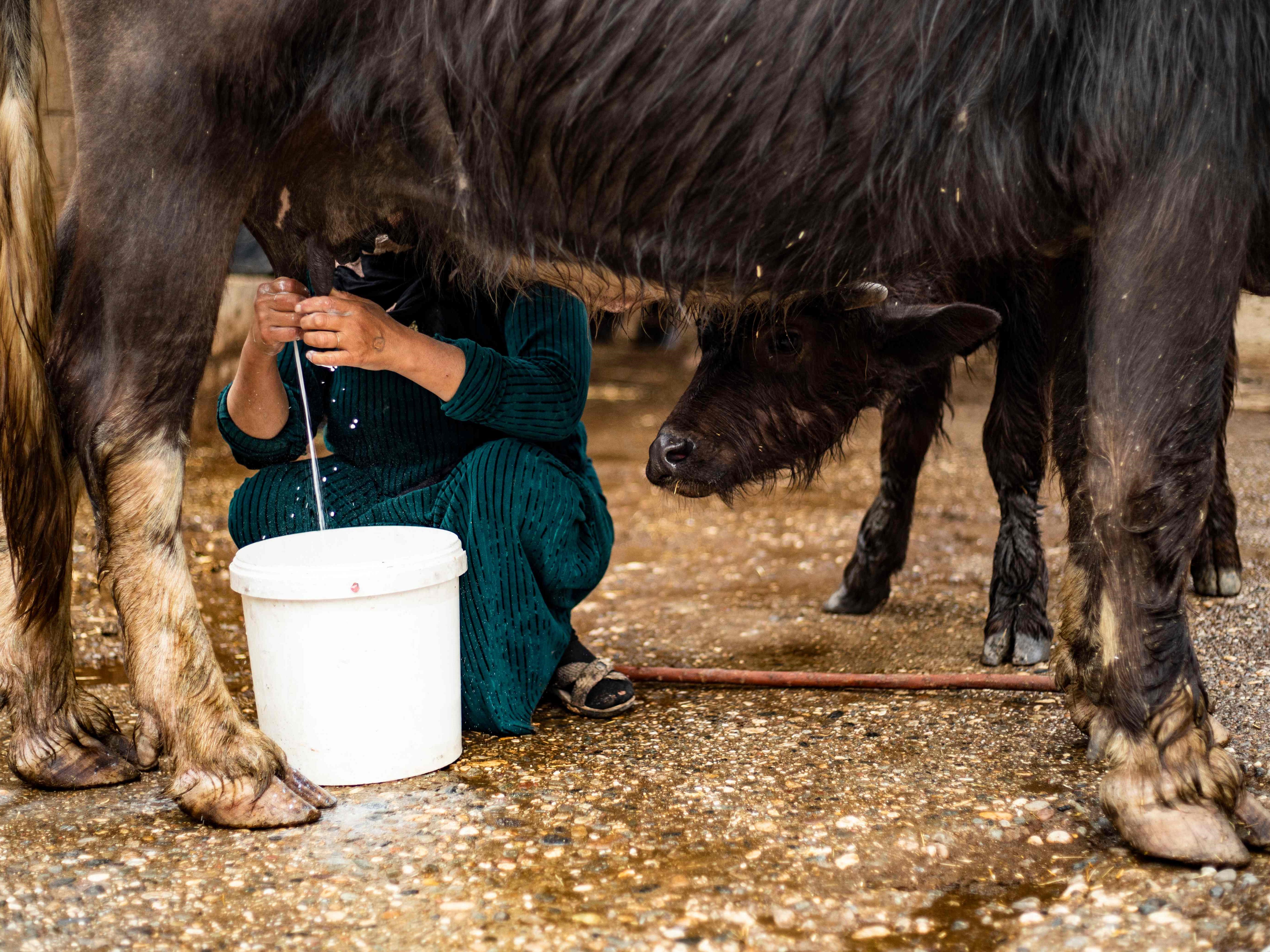 Serangan Israel Sasar Pasukan Hizbullah di Suriah, Lima Terluka