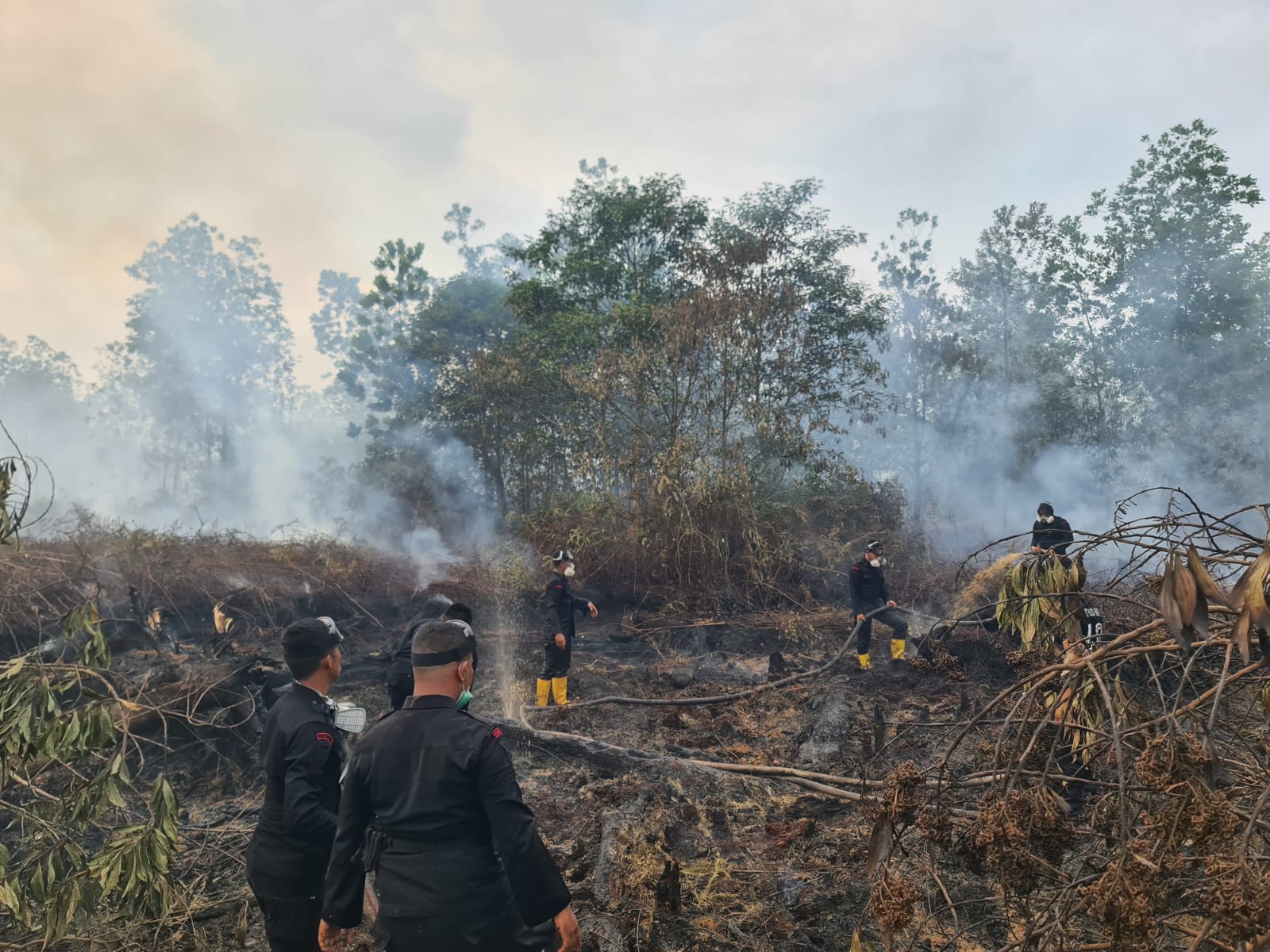 Kebakaran hutan di Desa Medangkampai Dumai dan Desa Tanjung Leban Bengkalis, Provinsi Riau, April 2023.