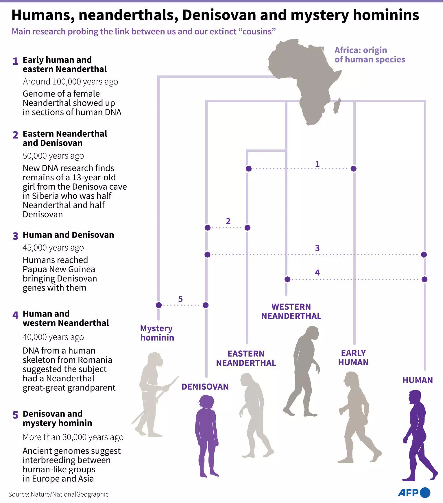 Manusia, neanderthal, Denisovan, dan hominin yang masih misteri 