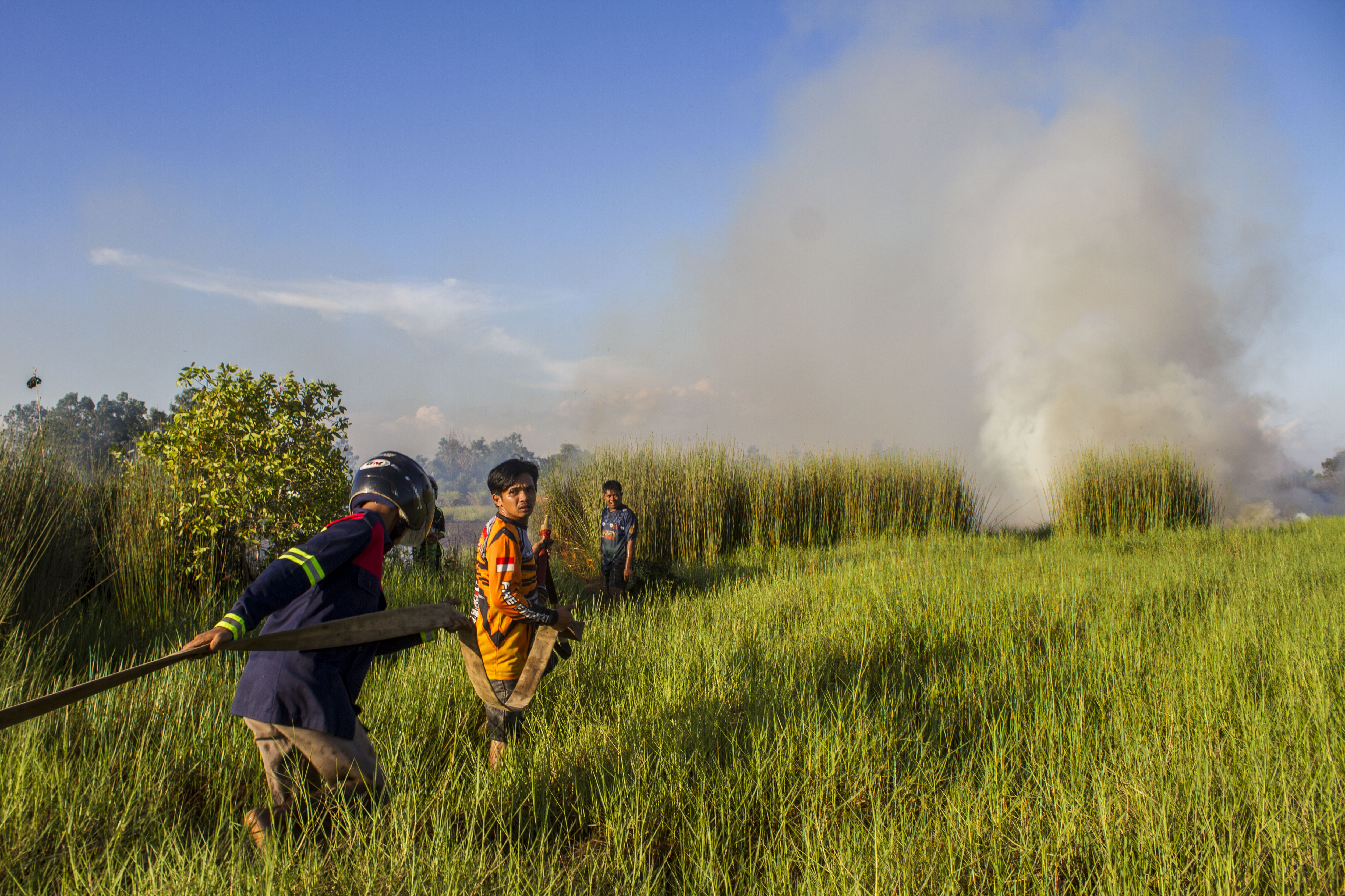 Ilustrasi kebakaran hutan dan lahan.