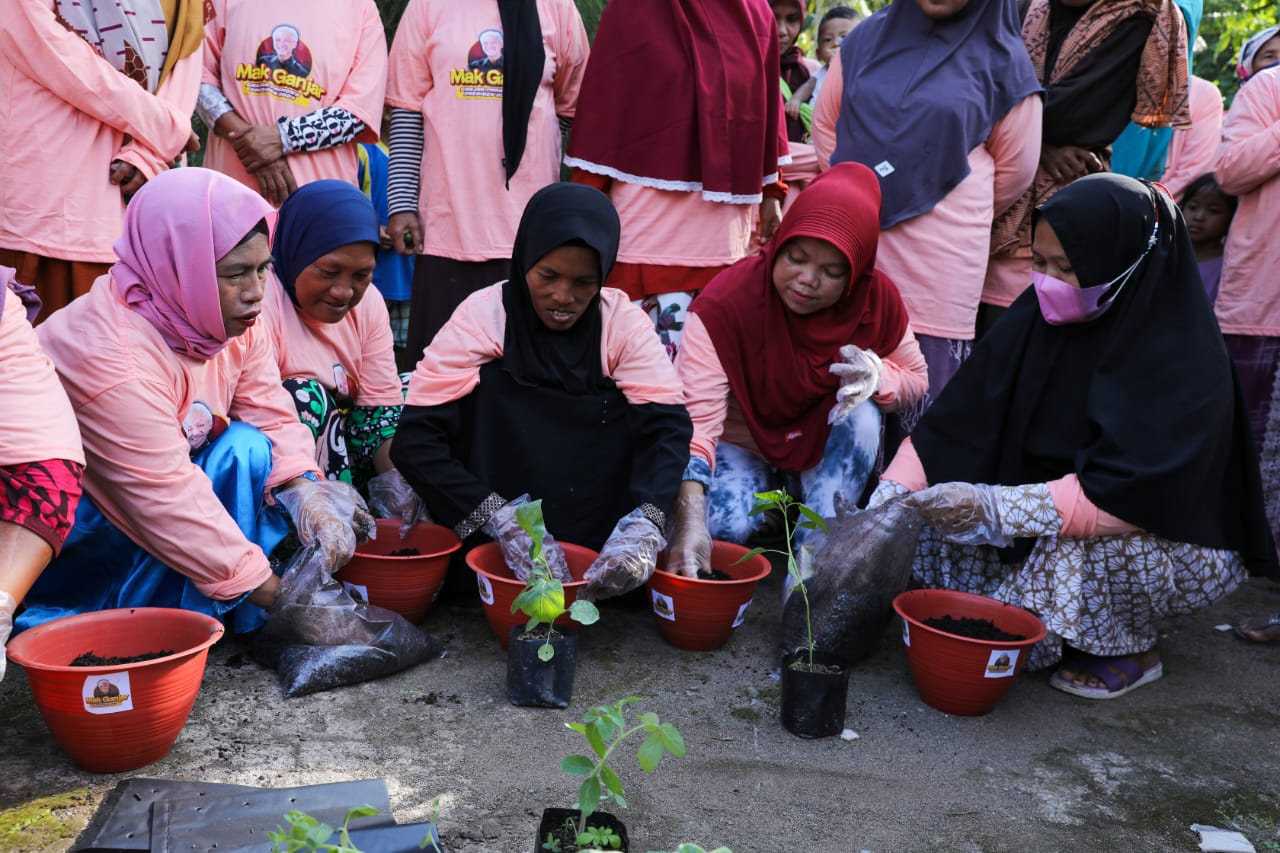 Sukarelawan Mak Ganjar Kalbar ajarkan cara berkebun tomat di pekarangan rumah