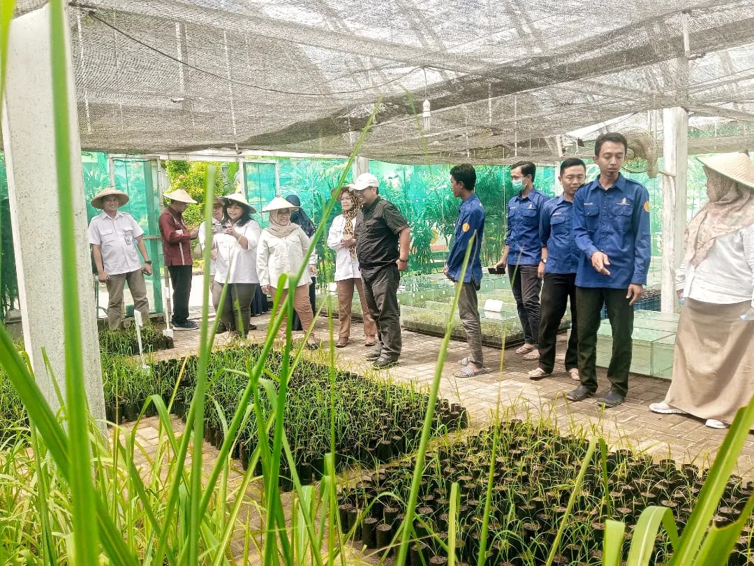Balai Besar Perbenihan dan Proteksi Tanaman Perkebunan (BBPPTP) di Surabaya.