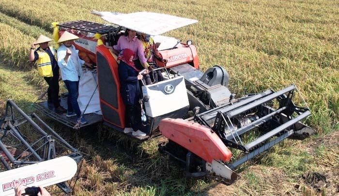 Climate Smart Agriculture (CSA) terbukti menurunkan emisi Gas Rumah Kaca (GRK) rata-rata 37%.