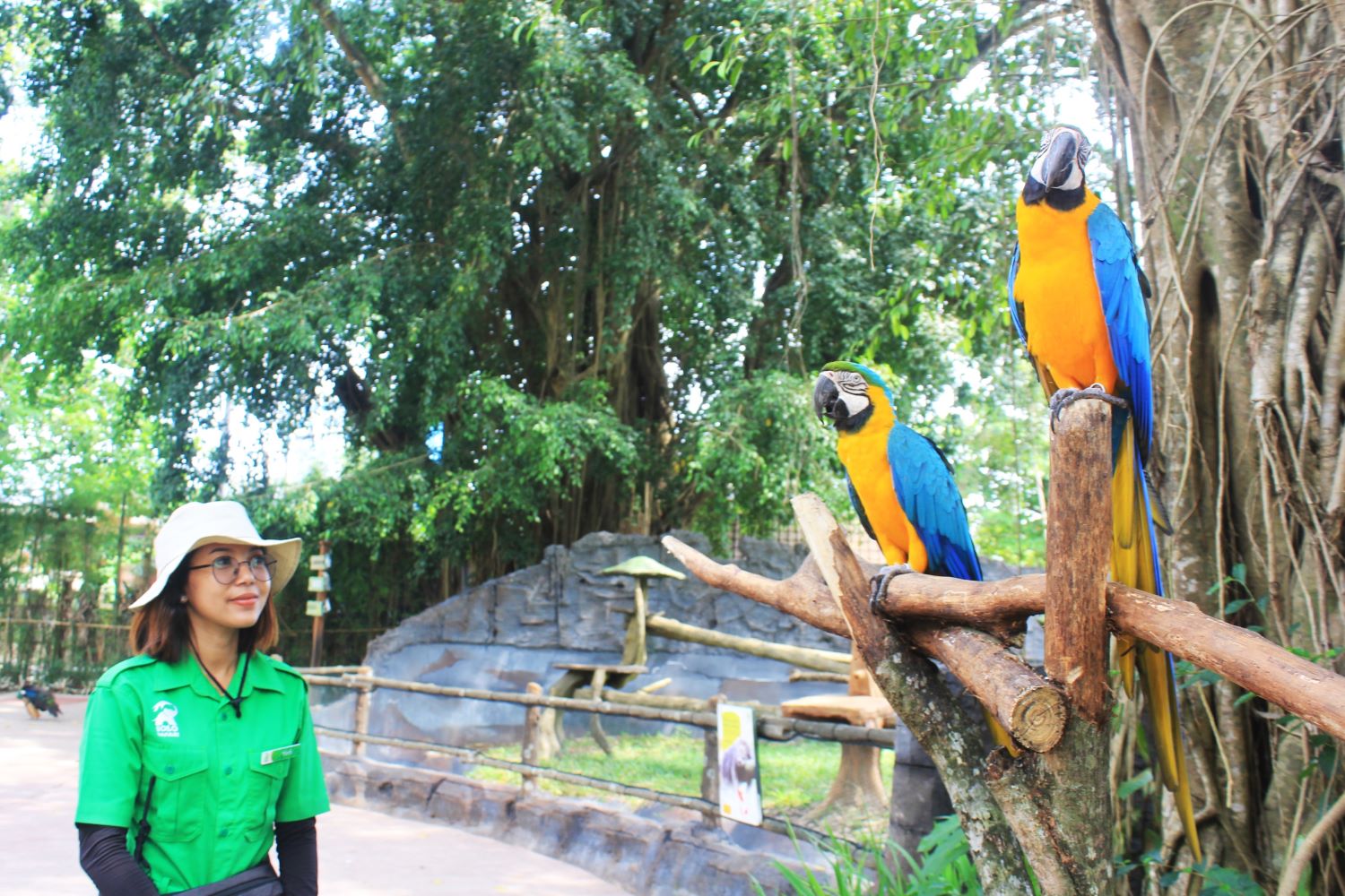 Dua kakatua menyambut pengunjung di Solo Safari