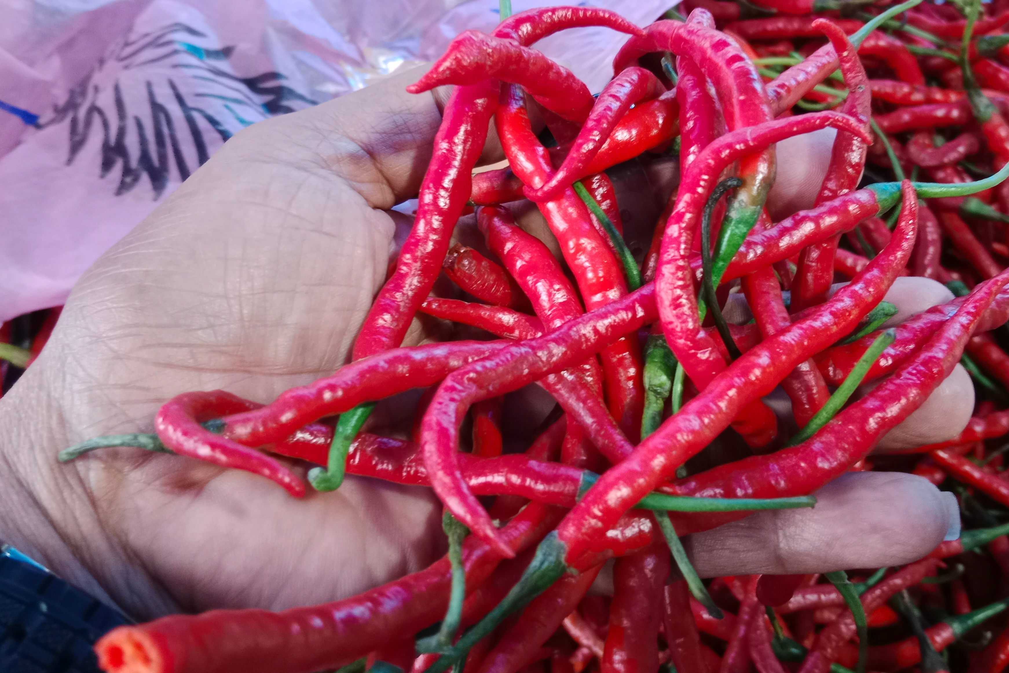 Pedagang di Aceh menunjukkan cabai merah.