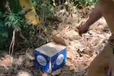 Petugas desa menemukan bayi dalam kardus.