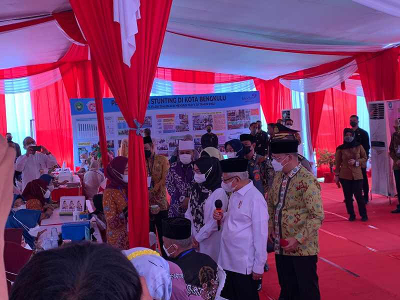 Wapres mengaku pemerintah masih menghadapi kendala dalam penurunan angka stunting.