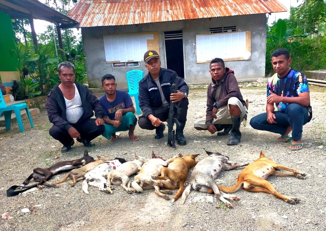 Eliminasi Anjing Rabies di Kabupaten Timor Tengah Selatan. Nusa Tenggara Timur.