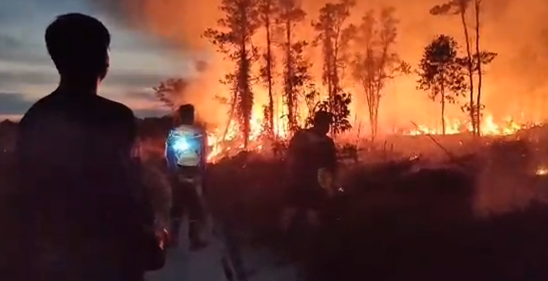 Kebakaran lahan gambut di Katingan.