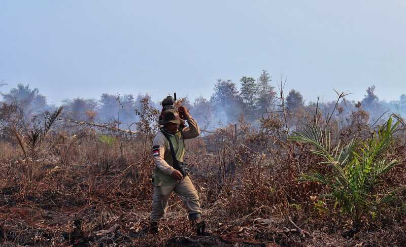 10 Hektare Hutan Cagar Biosfer GSK Riau Diduga Dibakar untuk Kebun Sawit