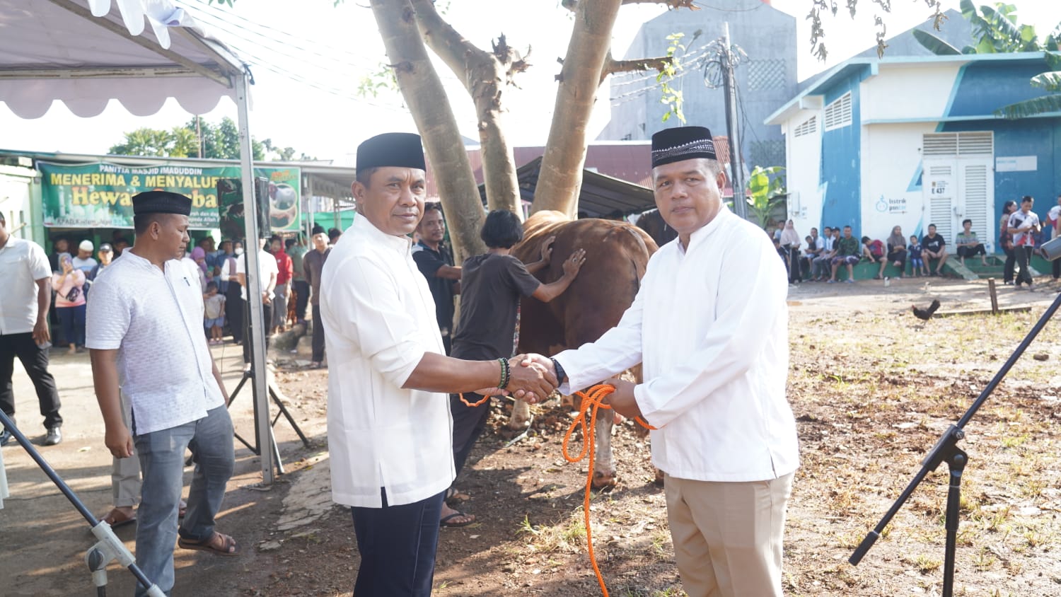 Pangdam Mayjen TNI Mohamad Hasan menyerahkan seekor sapi kurban ke kesatuannya, Kamis (29/6).