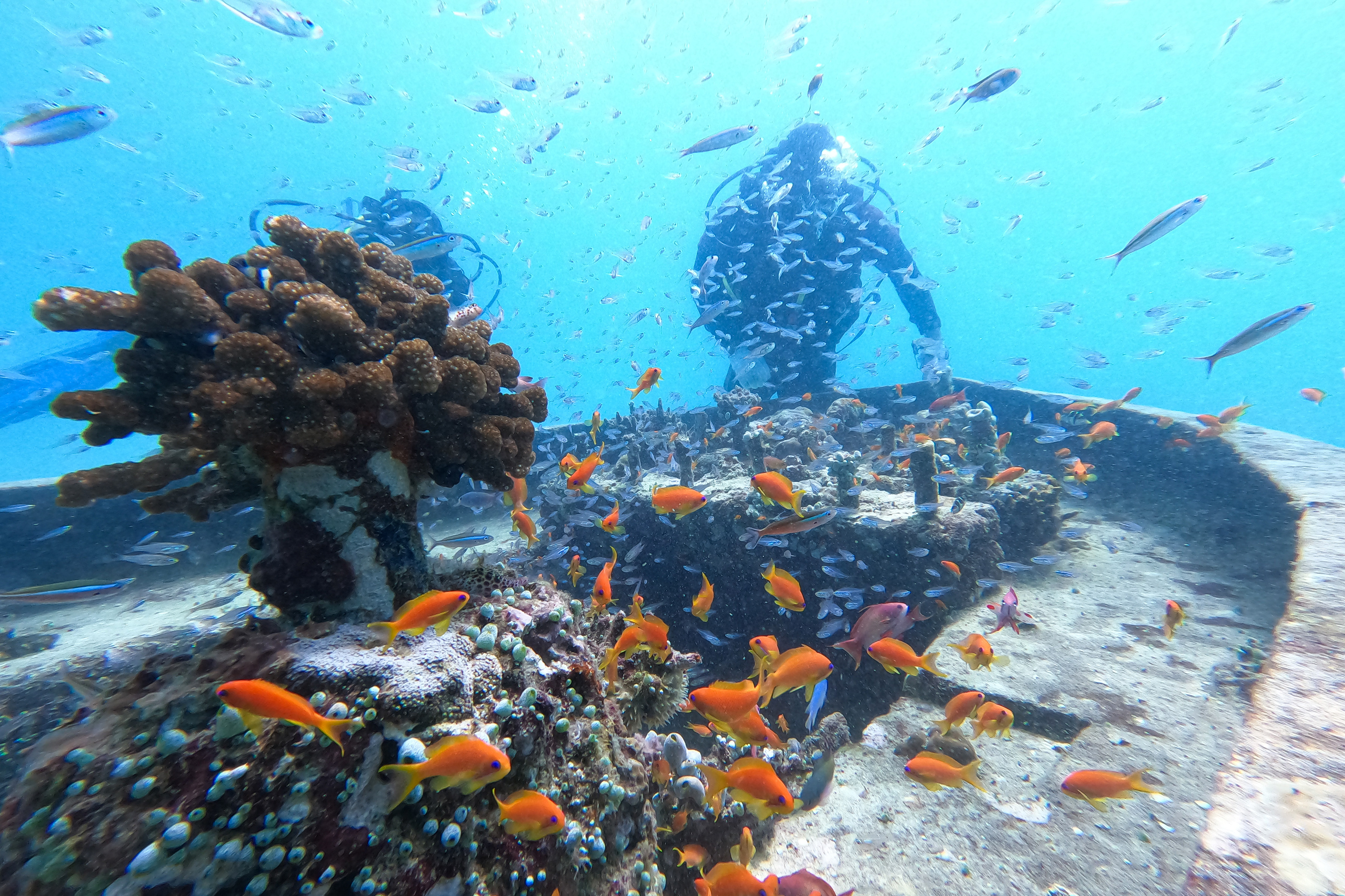 Pemandangan terumbu karang di Pantai Teupin Sirkui, Iboih, Kota Sabang, Aceh.