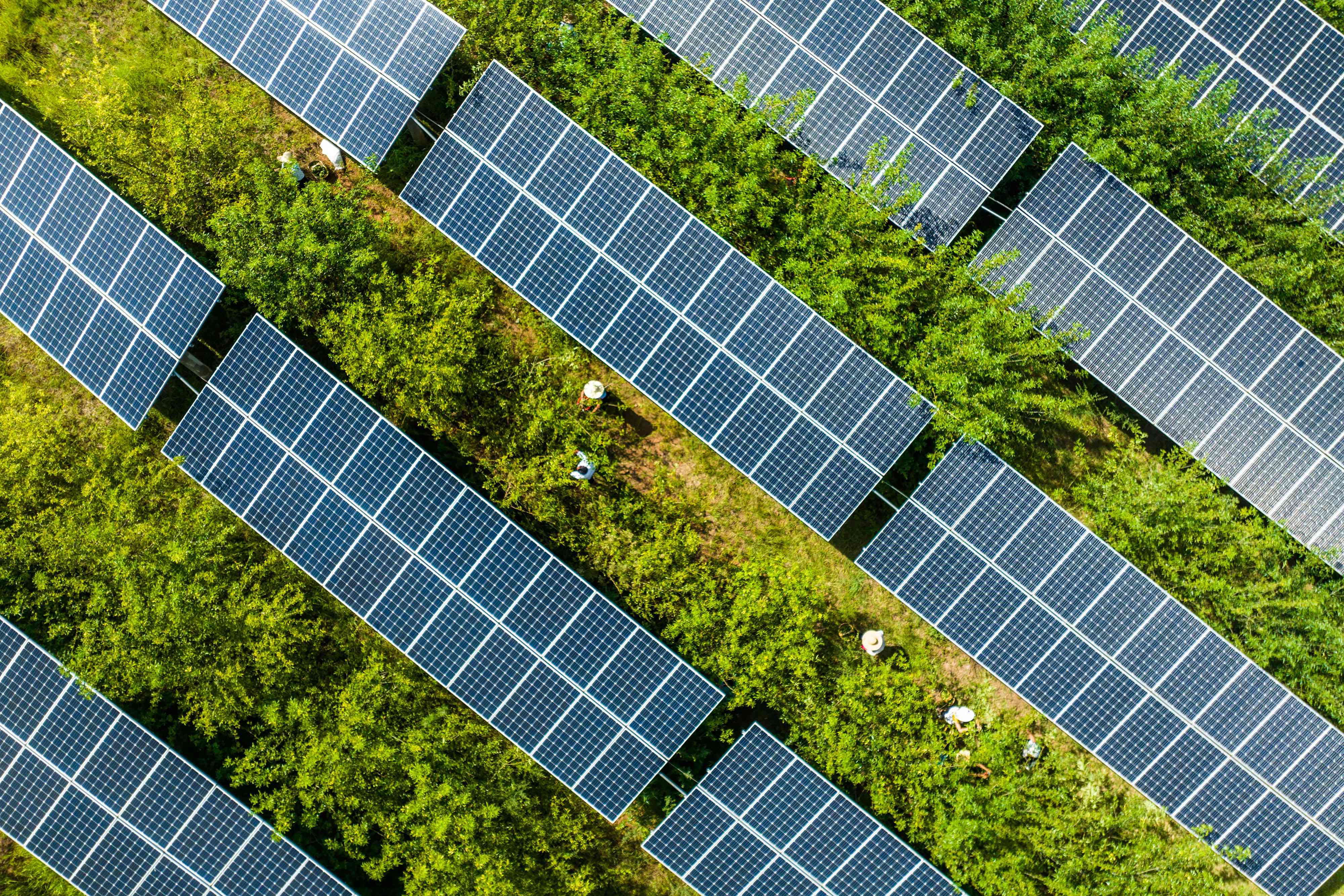 Panel surya di lahan pertanian di Provinsi Guizhou, Tiongkok.