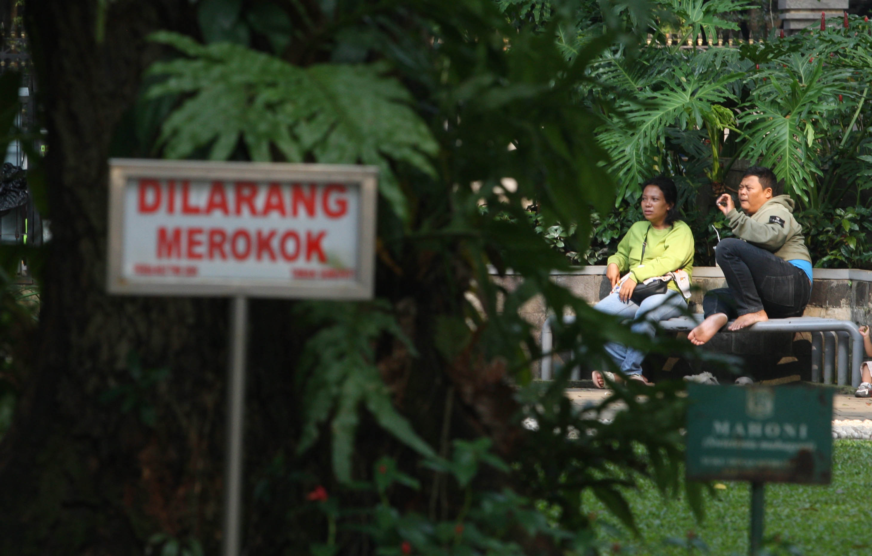 Waspada, Efek Merokok Baru Terasa 10 Hingga 20 Tahun Kemudian