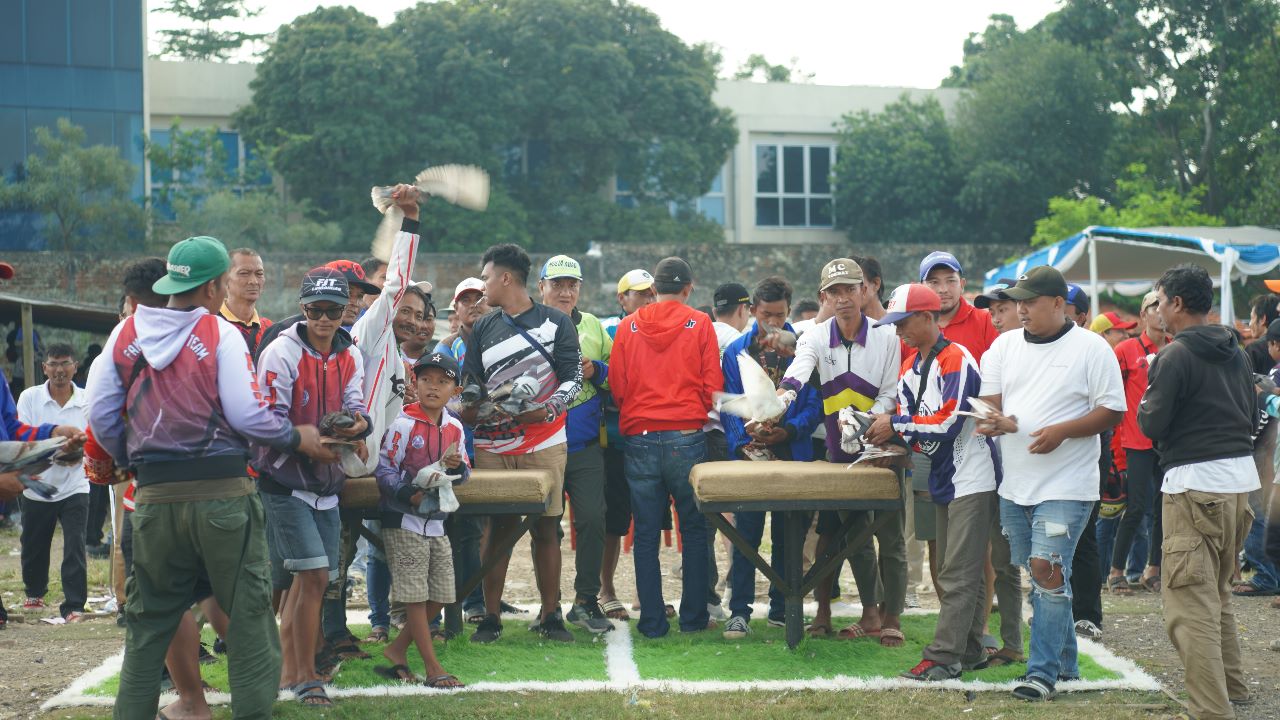 Lomba burung merpati di Bandung