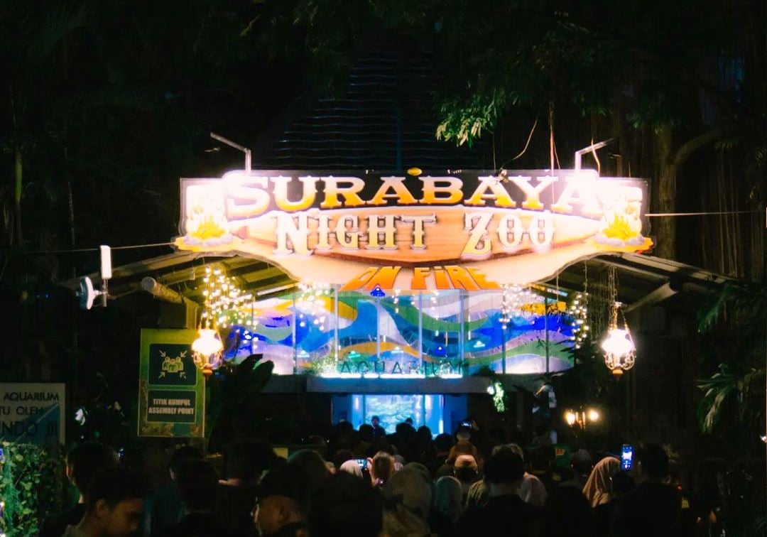 Surabaya Night Zoo buka mulai Minggu 25 Juni 2023 mendatang.