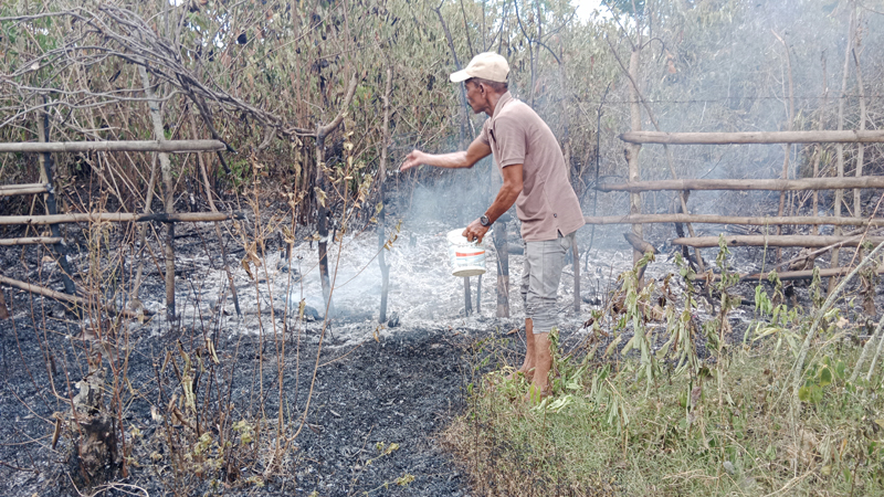 Hutan Pengunungan Di Kuta Makmur Aceh Besar Sudah Dua Hari Terbakar