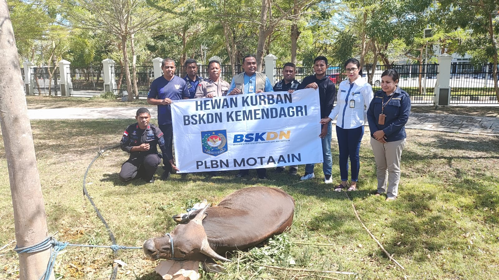 Hewan kurban dari BSKDN Kemendagri di PLBN Motaain NTT