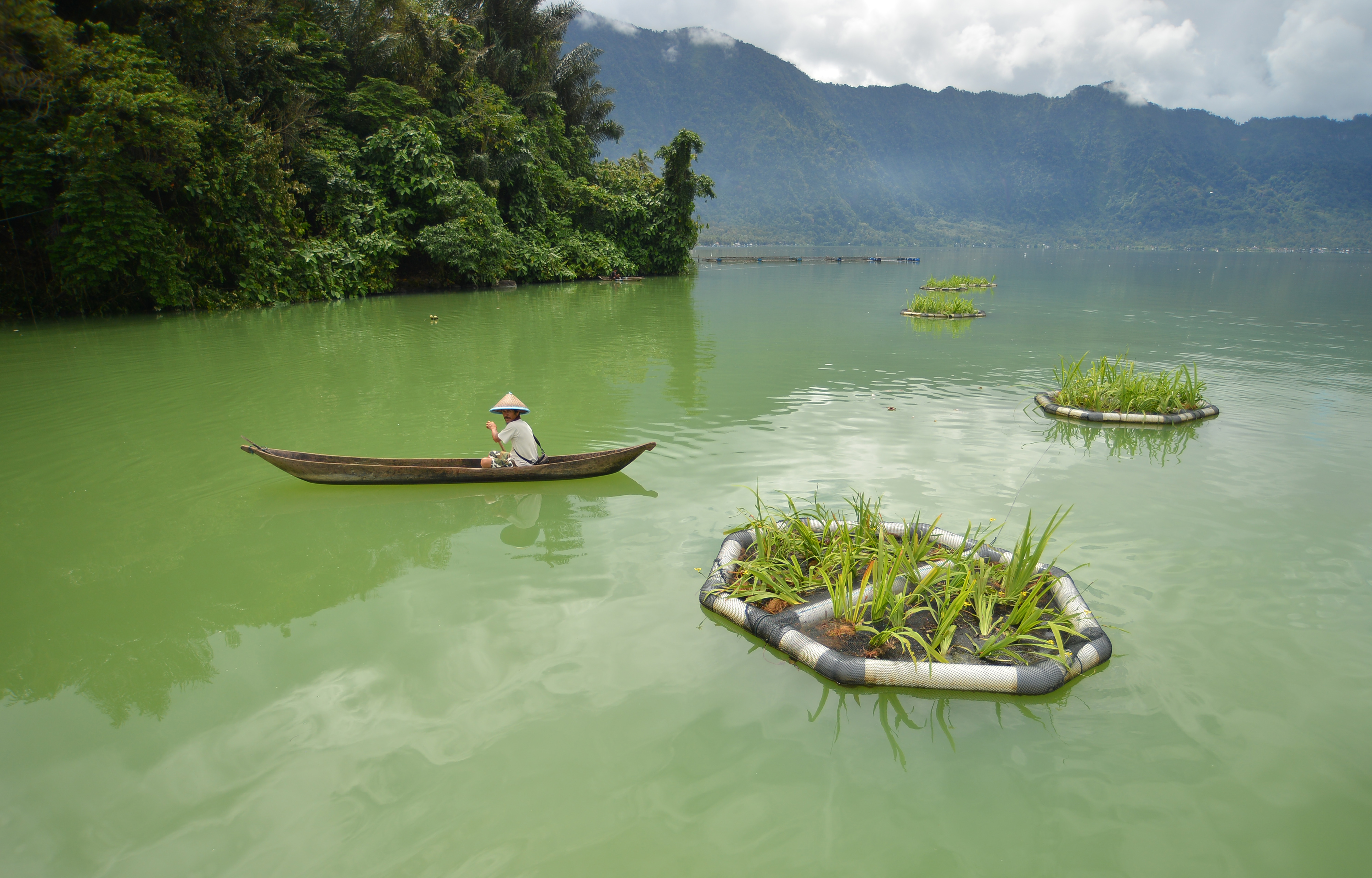 Nelayan melintas di kawasan konservasi Wetland, Danau Maninjau, Kabupaten Agam, Sumbar.
