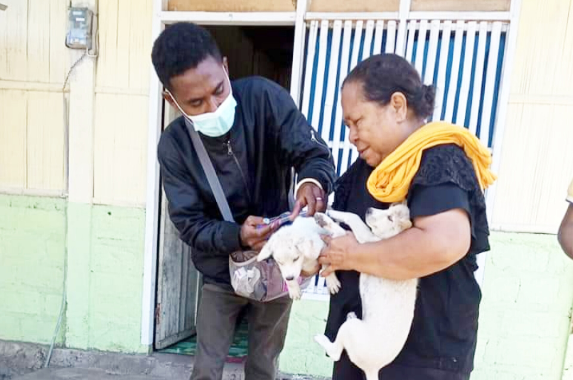 Anjing milik warga di Kabupaten Sikka, NTT disuntik vaksinasi rabies.