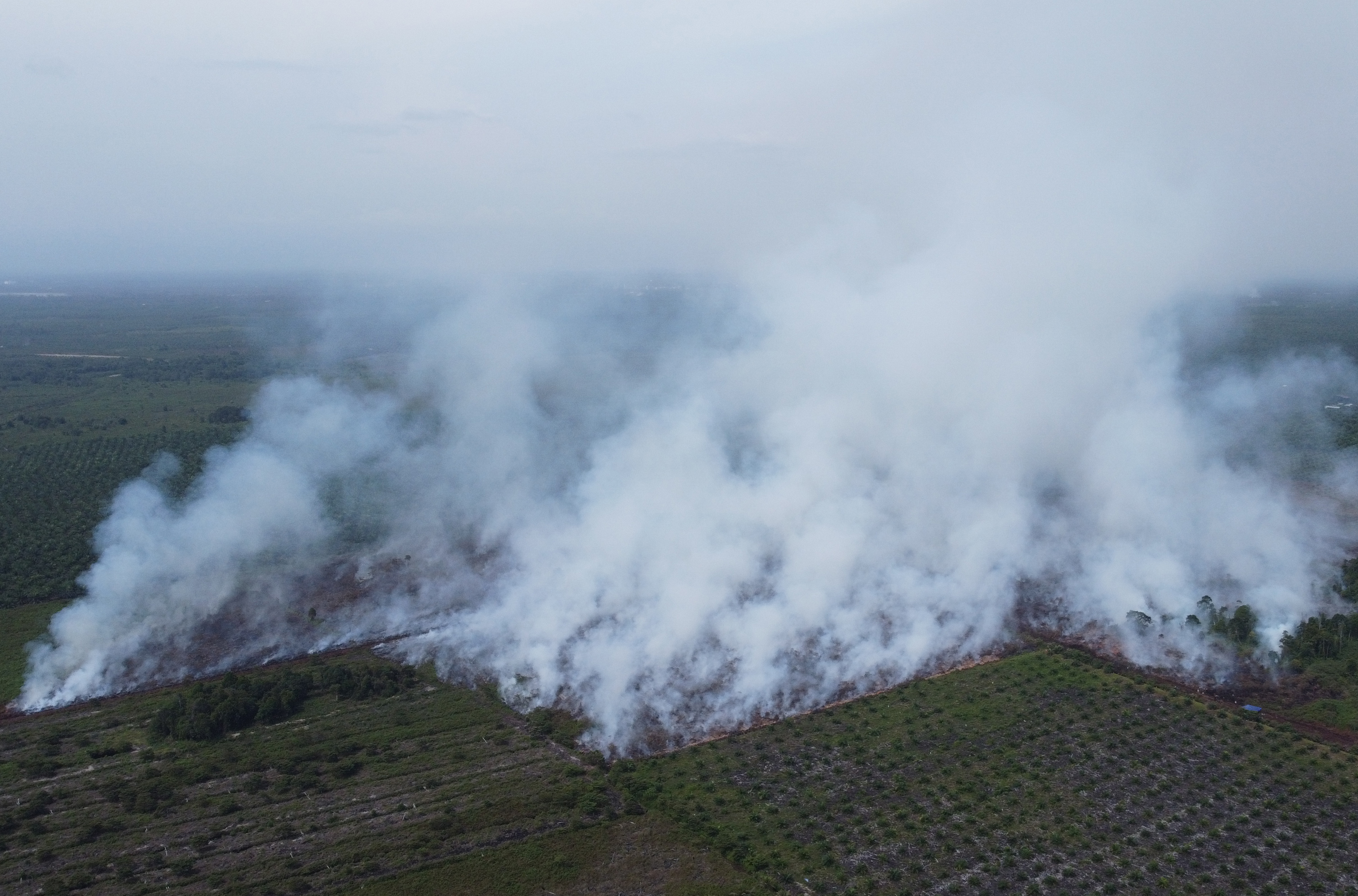 Foto udara suasana kebakaran lahan gambut di kawasan Desa Suak Puntong, Nagan Raya, Aceh, Kamis (22/6/2023).