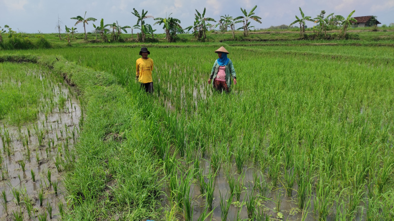 PERHIPTANI Sebut PENAS XVI Momentum Petani dan Nelayan Satukan Visi