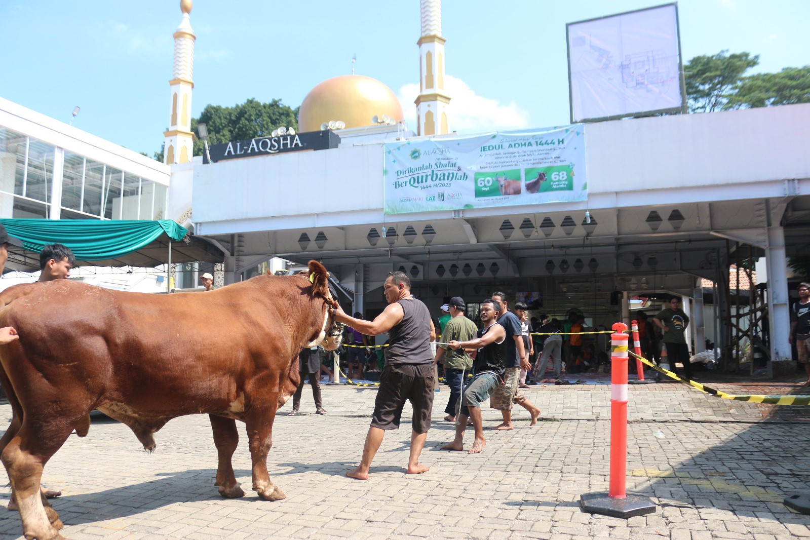 Masjid Al Aqsha BSD Kurban 61 Sapi dan 72 Kambing