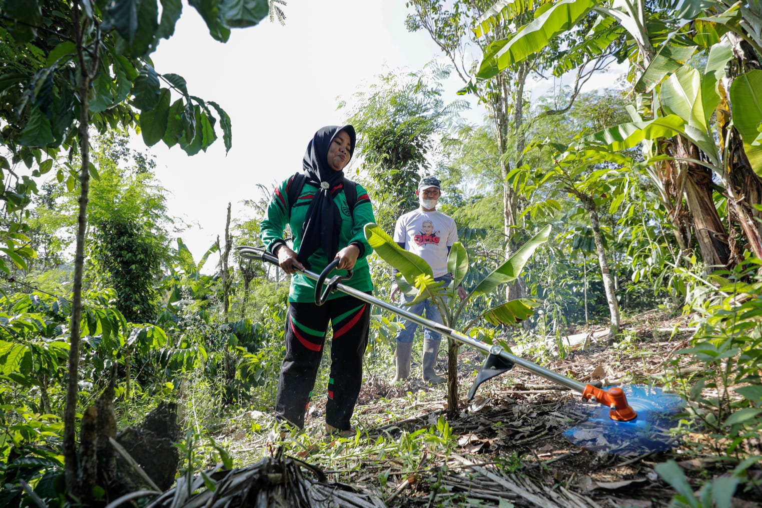 OMG Lakukan Pembinaan Untuk Kemajuan Petani Kopi Tanggamus