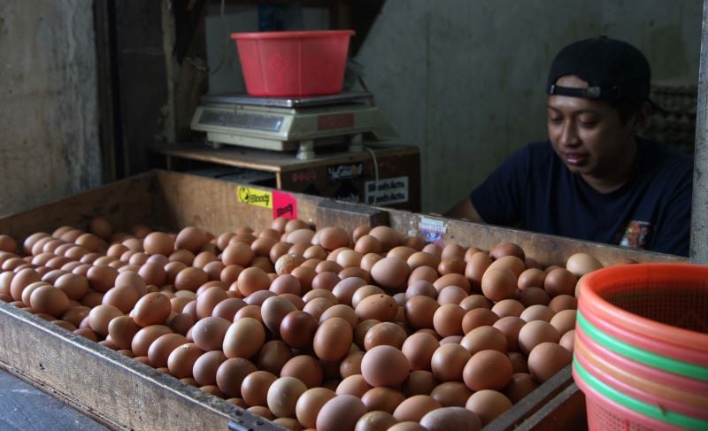 Pedagang telur sedang berjaga di Pasar Johar, Jakarta.