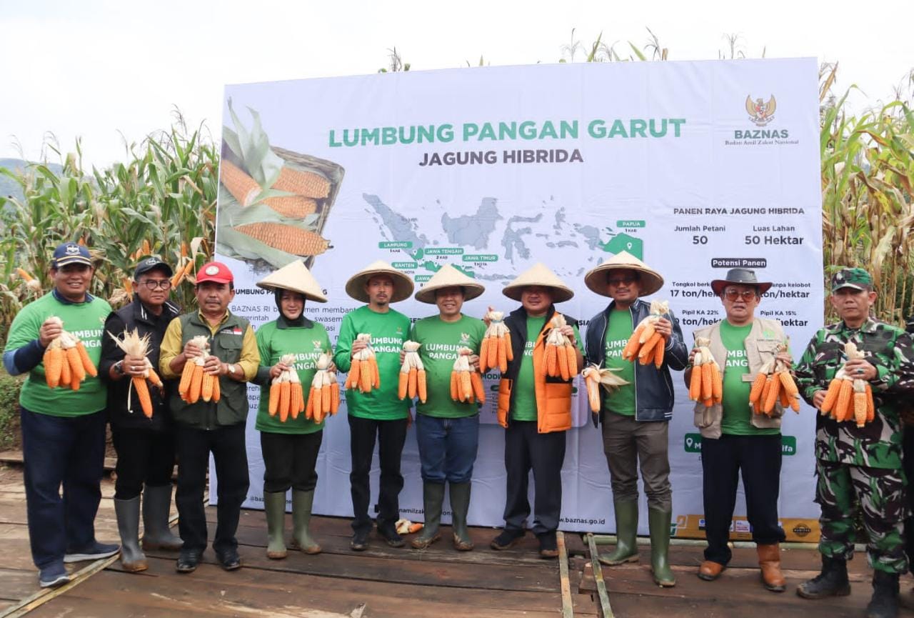 Program Lumbung Pangan binaan Badan Amil Zakat Nasional (Baznas) di Garut, Jawa Barat, panen raya jagung.