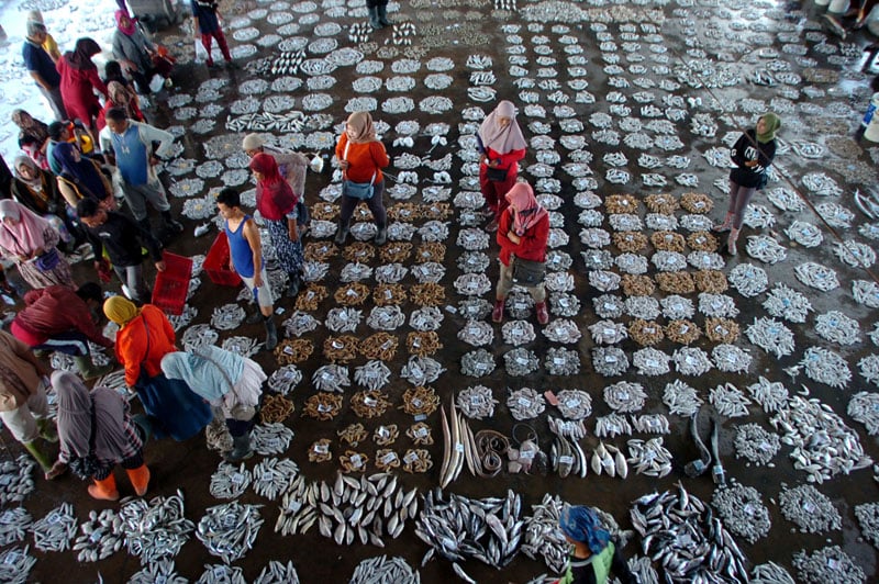 Tidak hanya enak, mengonsumsi ikan laut juga harus dibatasi. Pasalnya ikan-ikan ini memiliki kandungan kolesterol tinggi.