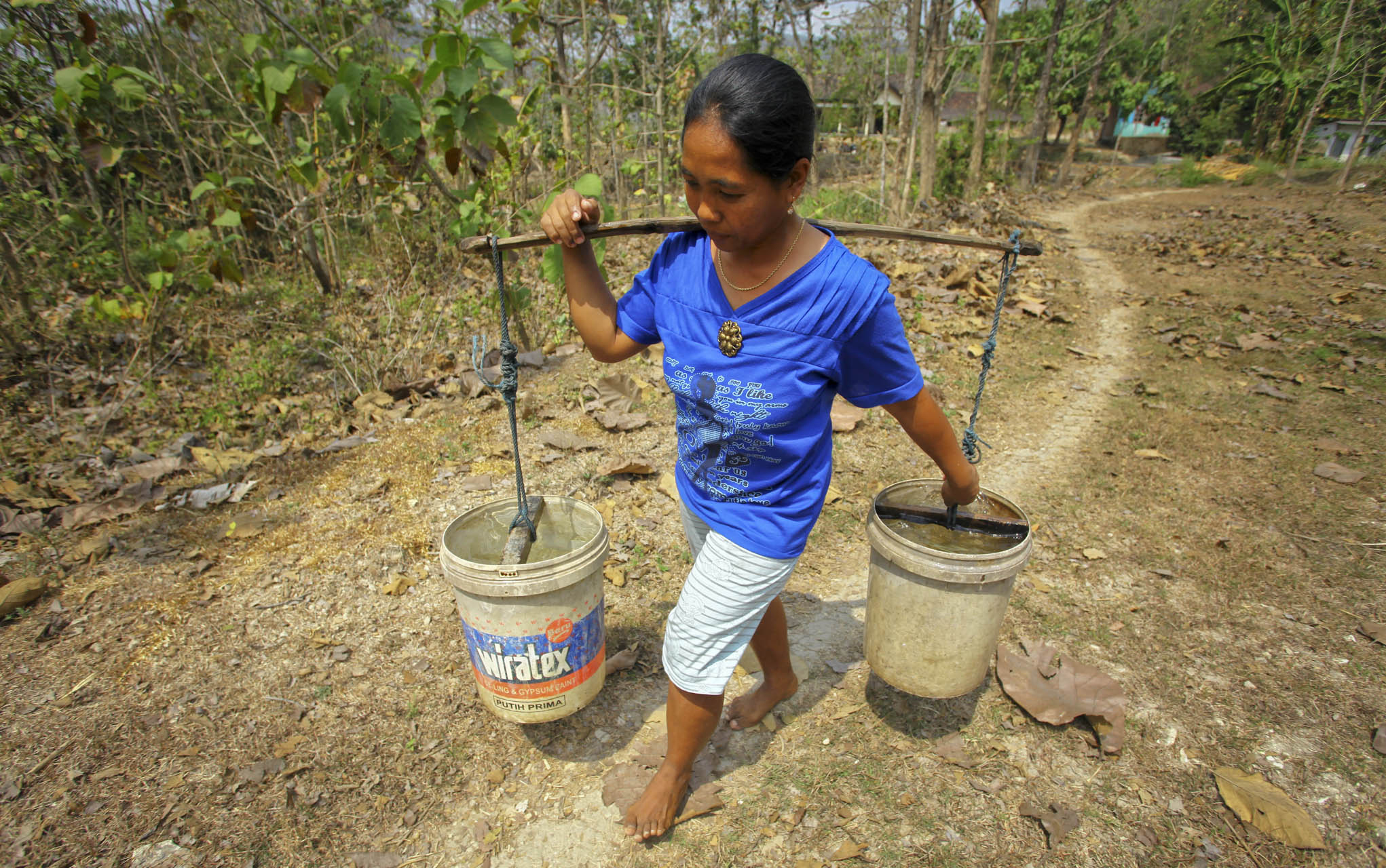 Warga membawa air bersih sumbangan PMI Sleman dan Rotary Club of Yogyakarta Taman Sari di Gayamharjo, Sleman, Yogyakarta, Jumat (7/8/2015).