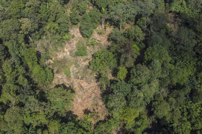 Foto udara lahan rusak akibat pembalakan liar