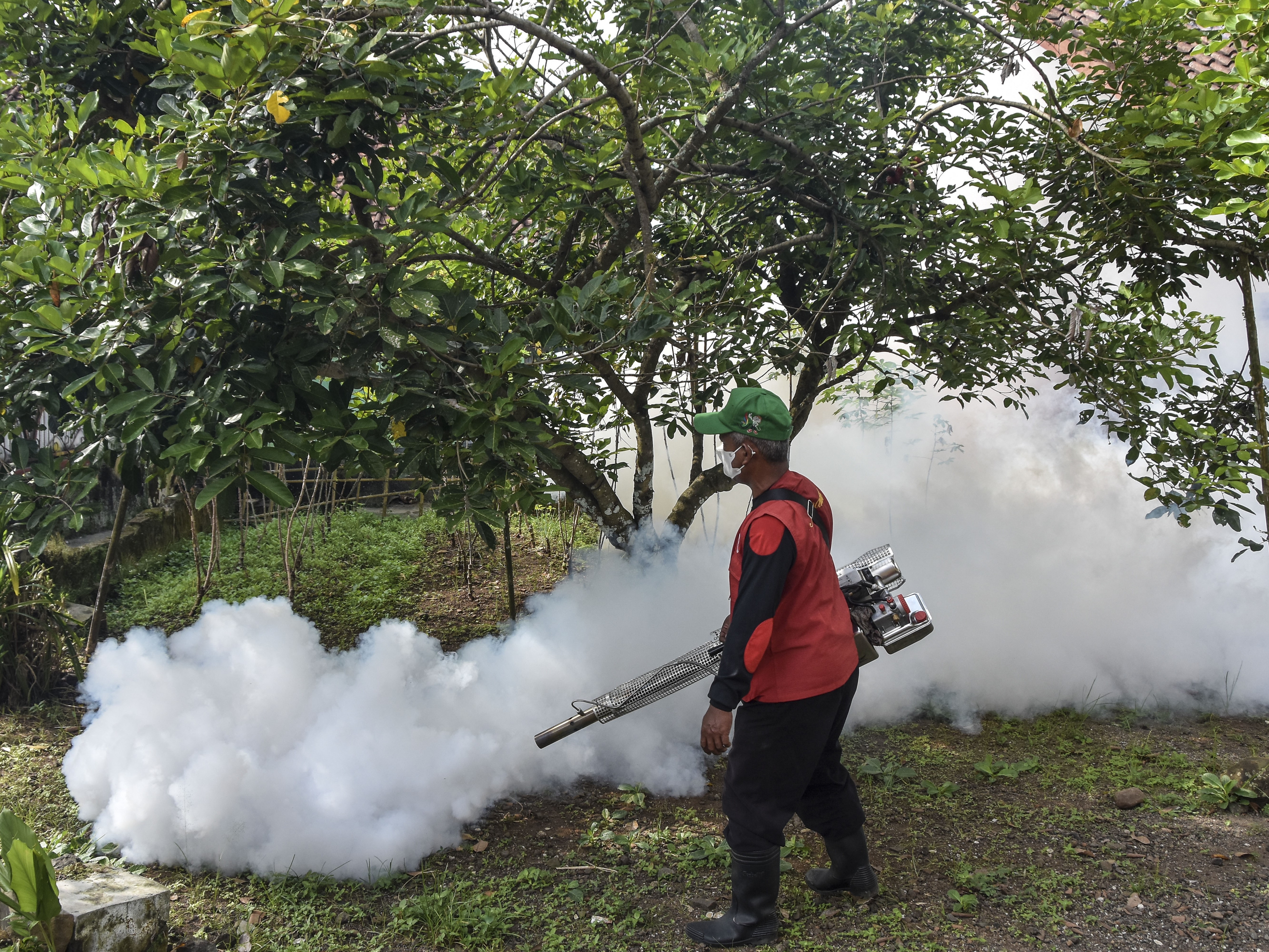  Potensi Ancaman Peningkatan Kasus DBD Harus Segera Diantisipasi