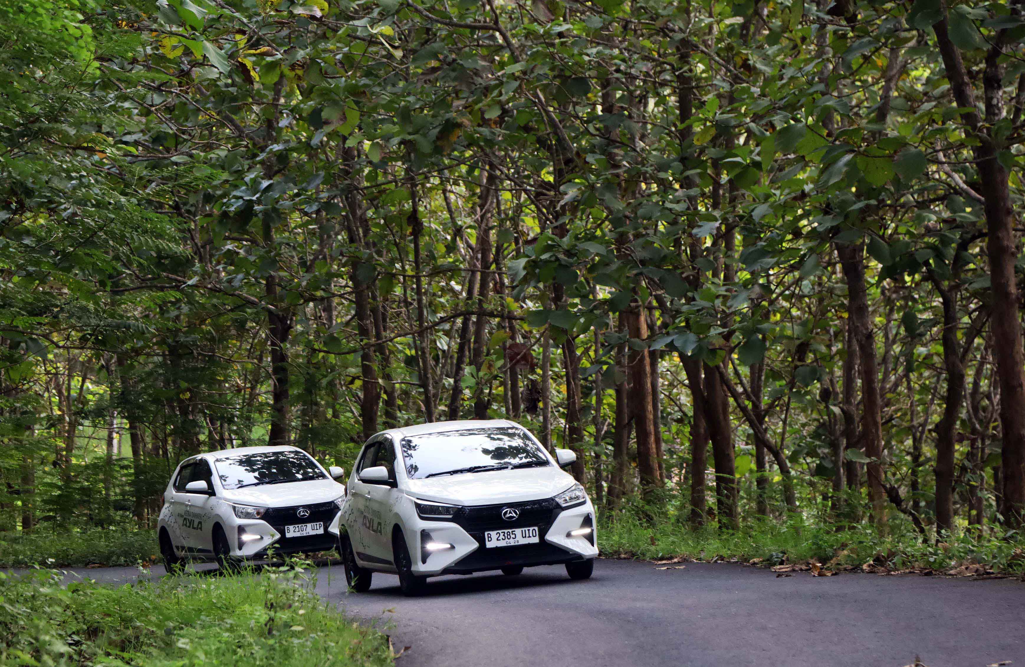Dua All New Astra Daihatsu Ayla berpacu di hutan jati Gunung Kidul saat menuju Pantai Sepanjang yang berliku, di Wonosari, Yogyakarta.
