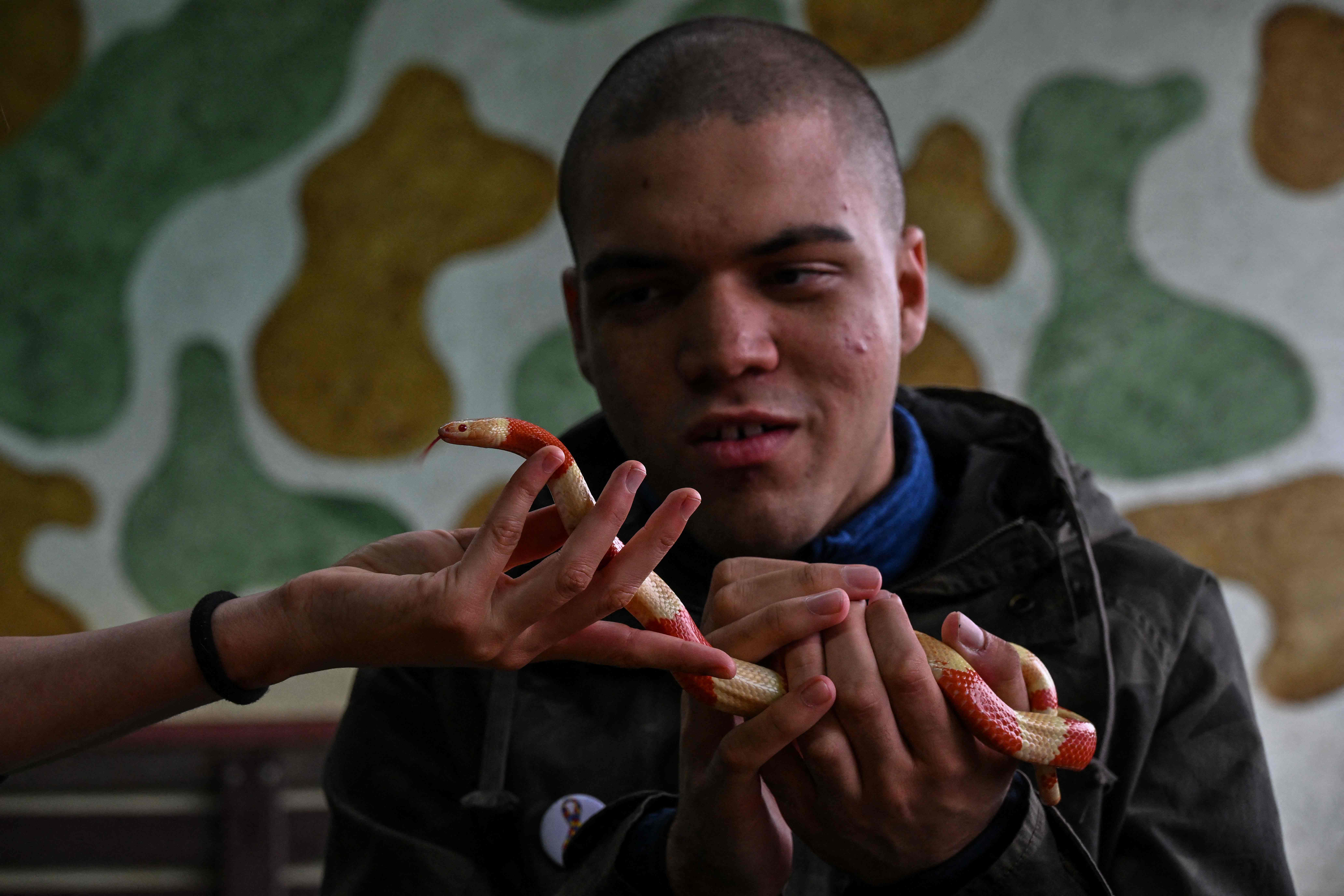 David de Oliveira Gomes, penderita autis mengikuti terapi reptil