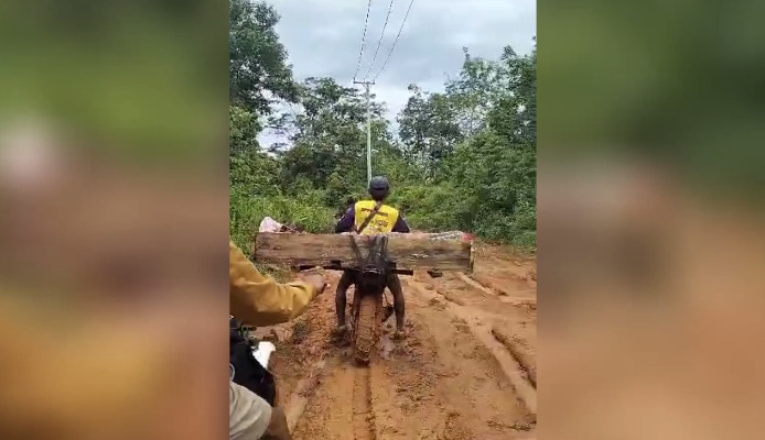 Warga Tanjung Aur, Provinsi Bengkulu sakit diangkut peti kayu karena jalan rusak parah.