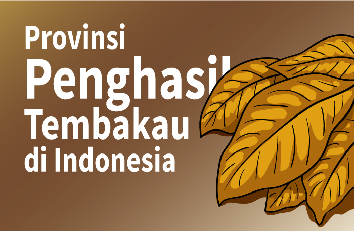 Sumber: BPS/Litbang MI/ Grafis: CAKSONO